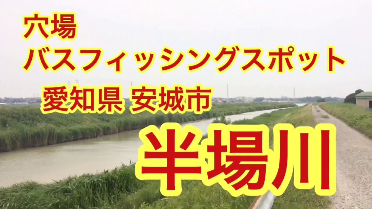 半場川 穴場 バス釣りポイント 愛知県 安城市 ブラックバス 魚釣り系you Tuberまとめサイト Fishing 半場川 穴場 バス釣りポイント 愛知県 安城市 ブラックバス 魚釣り系you Tuberまとめサイト Fishing