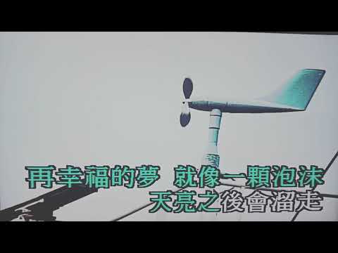 痛快的歌