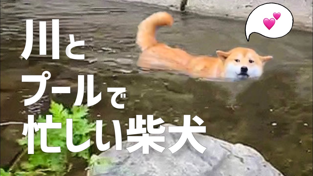 maxresdefault.jpg