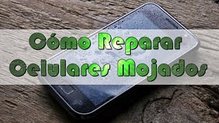 Cómo Reparar Celulares Mojados Siguiendo estos simples pasos | Memo Castillo