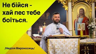 Не бійся, хай пес тебе боїться. Мр 16:1-8. Неділя Мироносиць. Тарас Бровді