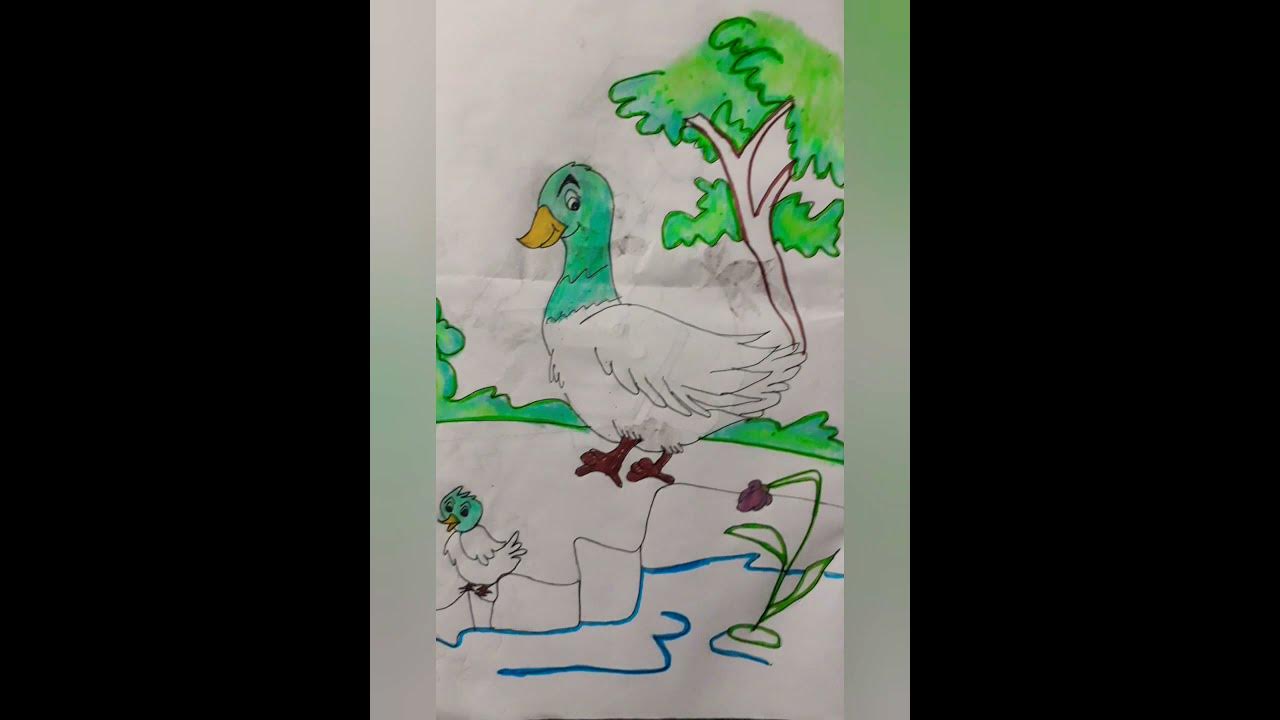 duck dnd duckling#shorts - YouTube