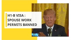 Trump administration to ban work permits for spouses of H-1B holders