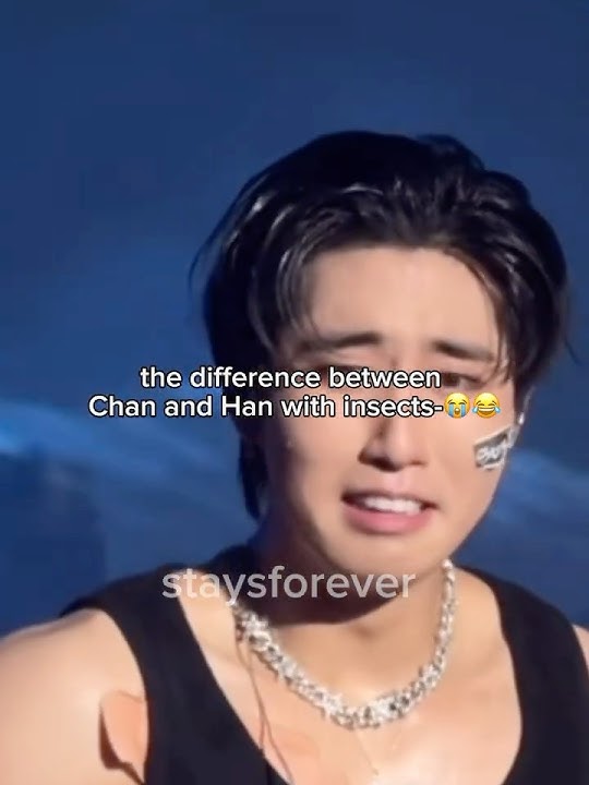 HAN IS SO ME😭😭#bangchan#hanjisung#straykids#kpop#relatable#trending#dominate#concert#funny