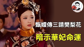 《甄嬛傳》「三請樊梨花」 太敢拍!它暗示華妃命運太戳心:有脾氣卻不懂收斂;戲中樊梨花終獲認可,華妃卻成皇權犧牲品!【幺弟後宮史】#甄嬛傳 #影視解說 #宮鬥劇