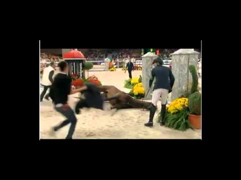 2011-11-06 Sir Hickstead Olympic Showjumper  died in Verona.