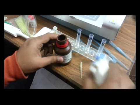 Em 200 biochemistry analyzer manual