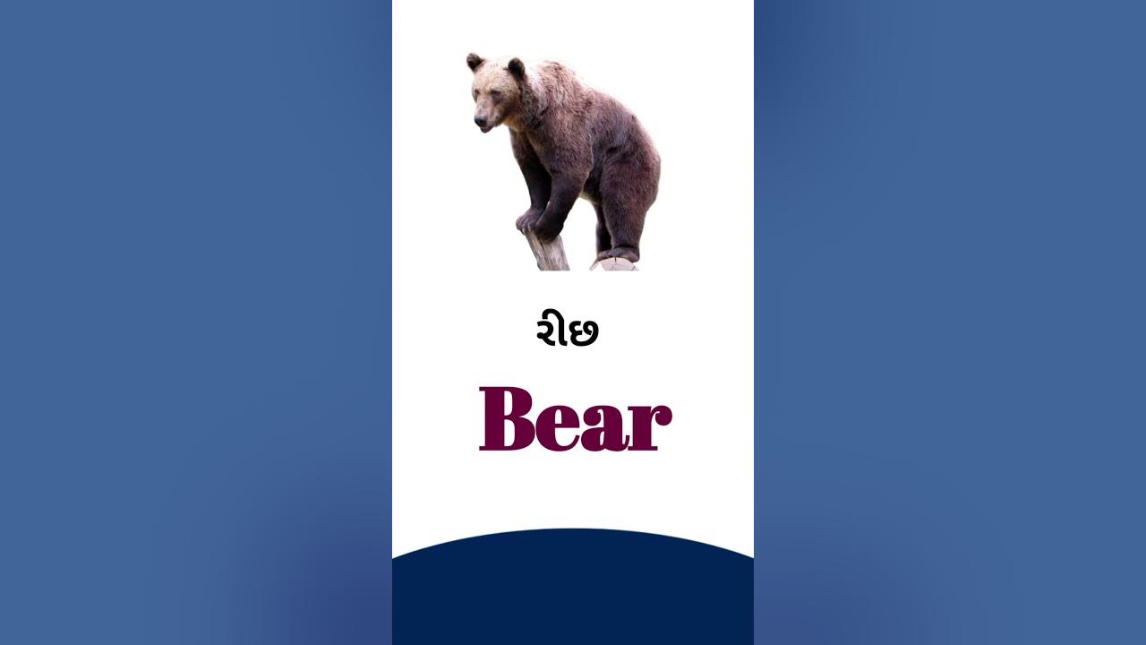 bear-meaning-in-gujarati-english-dictionary-youtube