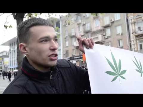 Конопляный марш свободы: легализируют ли марихуану - рис. 2