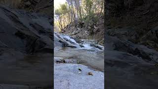 Relaxing by the Waterfalls