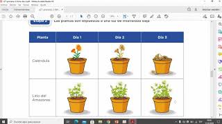 Las plantas de que viven Parte 1