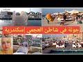 جولة في شاطئ العجمي اسكندرية شاطئ النخيل با الأسعار البحر و الإيجارات و المطاعم 
