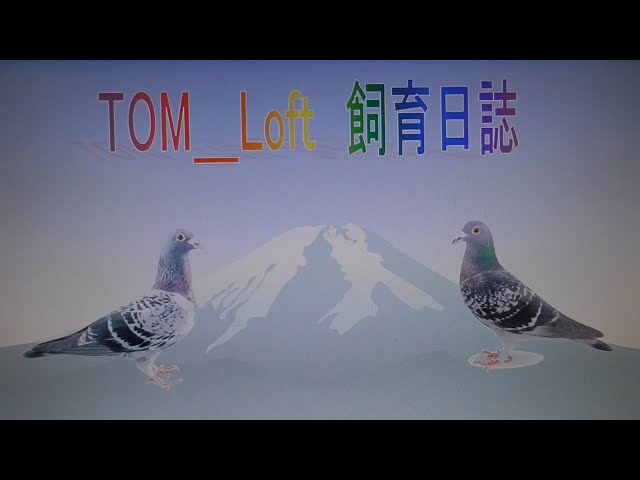 21 7 2（金）チャンピオン商事訪問 - YouTube