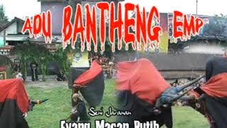 ATRAKSI ADU BANTENG EYANG MACAN PUTIH