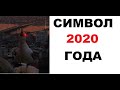 Лютые приколы. Символ 2020 года!