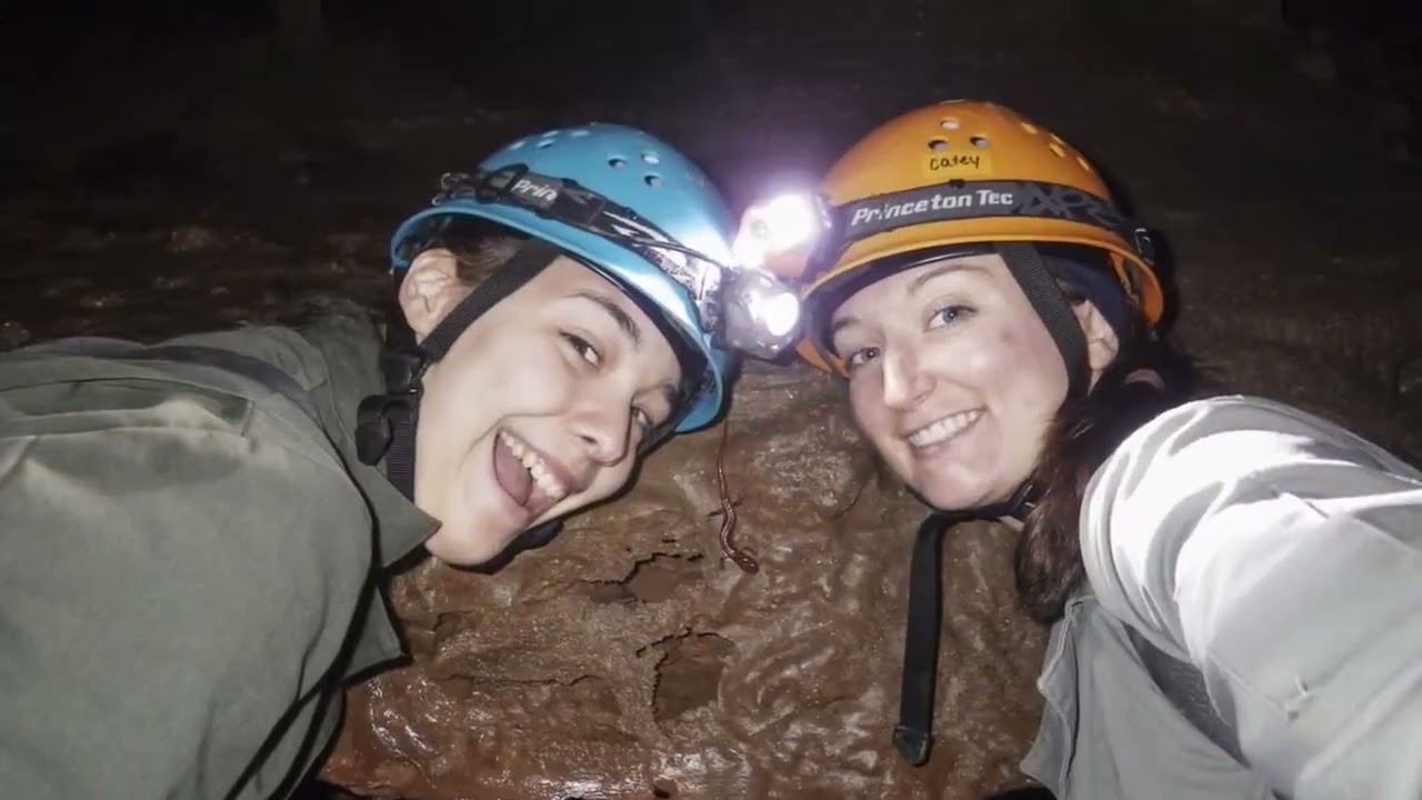 COBRA Grotto 2014-2015 (long version)