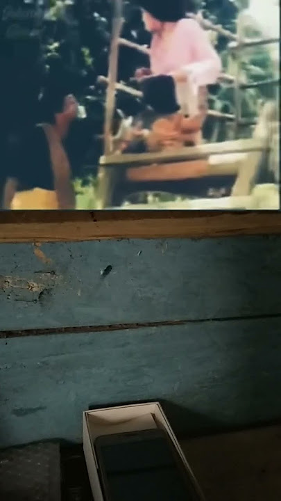 Si pandir tatal huma raje😁