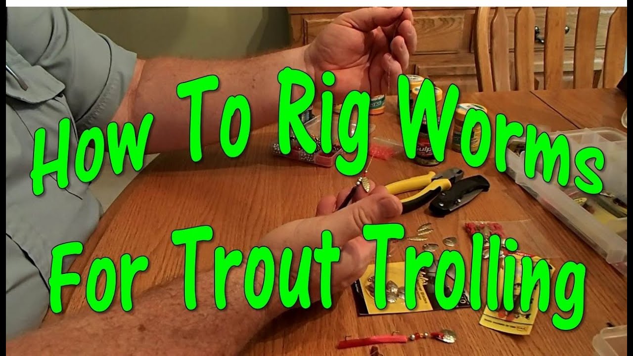 How To Rig Worms For Trout Trolling 