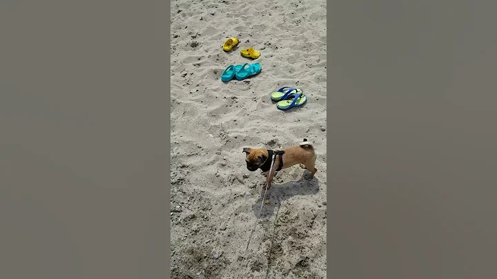 Corey Crowe jr at the beach