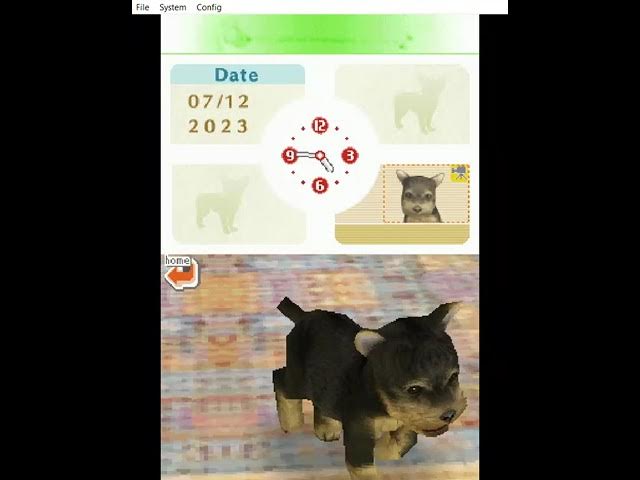 Nintendogs (Nintendo DS) - Let's Play 1001 Games - Episode 626 