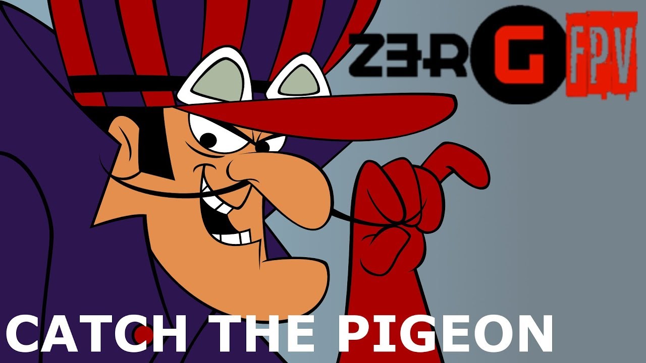 Catch the Pigeon - YouTube