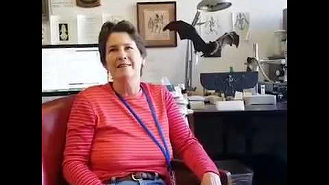 Vampire Bats With Mammalogist Nancy Simmons