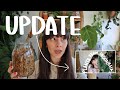 Houseplant Unboxing UPDATE! Imported plants & where they are now