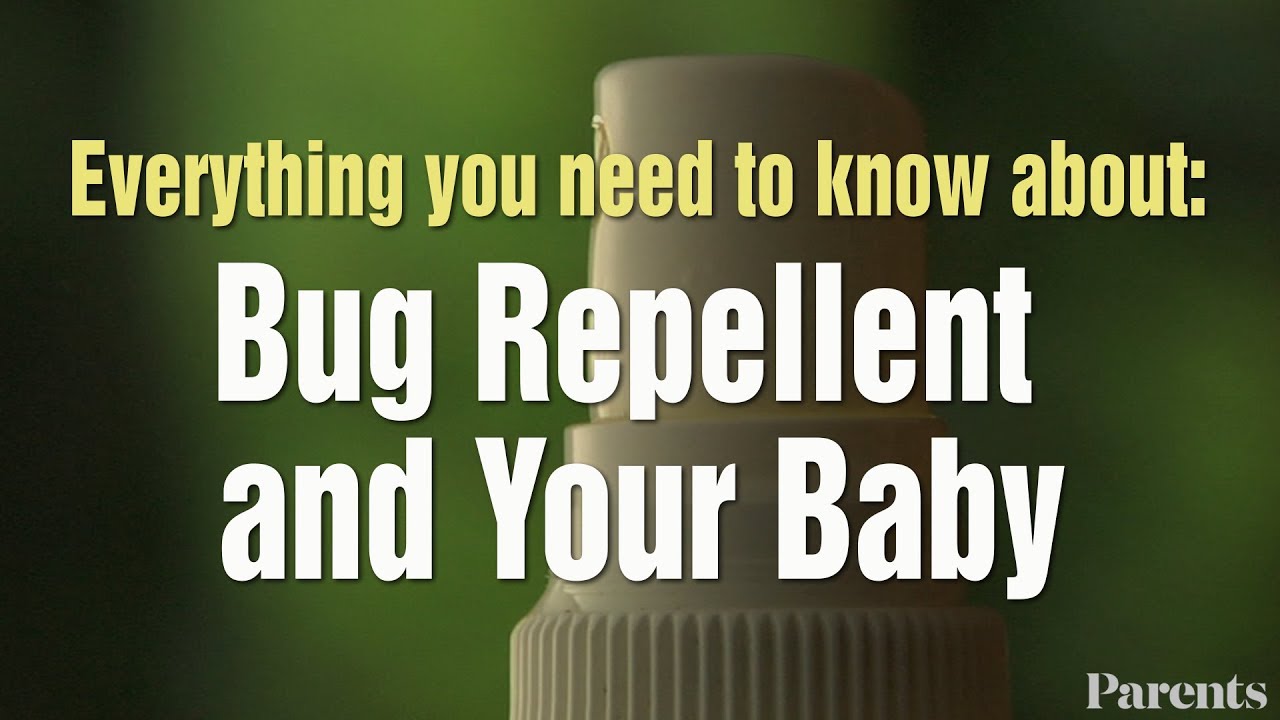 Everything You Need to Know About Bug Bites and Disease Everything You Need to Know About Bug Bites and Disease new pics Everything You Need to Know About Bug Bites and Disease Everything You Need to Know About Bug Bites and Disease new pics