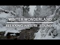 Nature Sounds Mountain Stream in Snowy Winter Forest | relaxing natural healing study ambience 4K