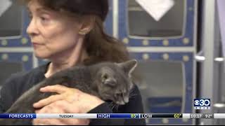 New animal shelter hits final roadblock