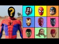 Spiderman Wrong Heads | Which One is Most Correct? | Top Superheroes Puzzle