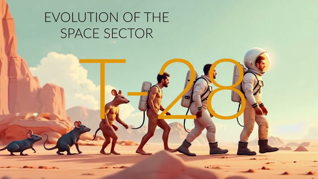 t 28 - Evolution of the Space Sector