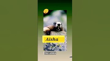 Aisha Name 😂#aisha  #status #statusvideo #funnyvideo #firstshortvideo #whatsappstatus #comedy #meme