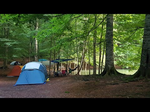 Yedigöller milli parkı/ Bolu. Kamp yaptık. 🏕🥳