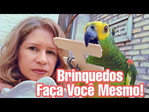 Brinquedos Para Papagaios - Faça Você Mesmo