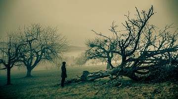 LAST LEAF DOWN - Ghost Trails (official video)