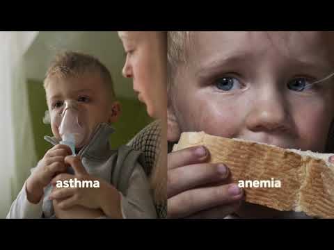 Sofiia Shamiia - Food security