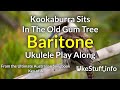 Kookaburra Sits in the Old Gum Tree Baritone Ukulele Play Along (in A)