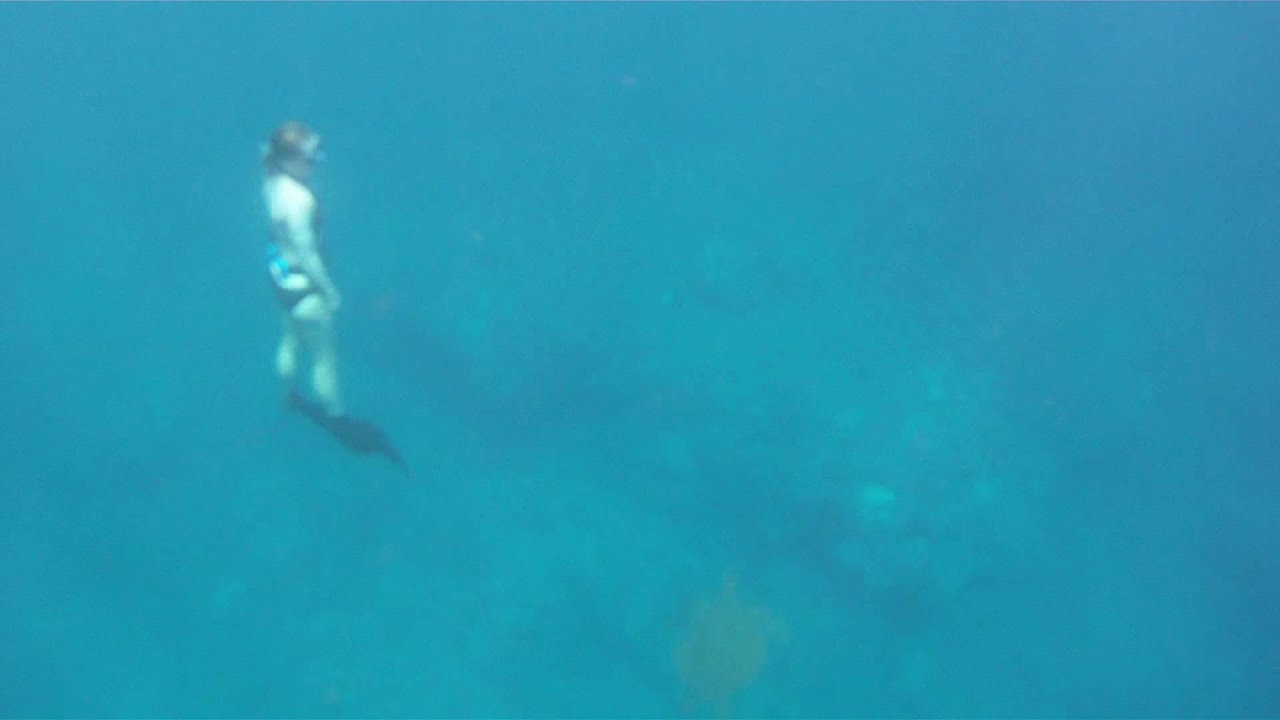 Freediving with Green Sea Turtle