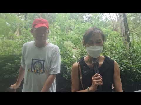 2025年7月15日 林蔭大道 華女+摩利士 合唱 (孤身走我路) 梅艷芳 的歌曲。