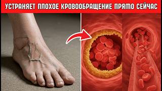 СОСУДЫ забиты? 6 способов ОЧИСТИТЬ их от кальция и спасти СЕРДЦЕ