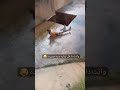 من أجمل مقاطع 2023