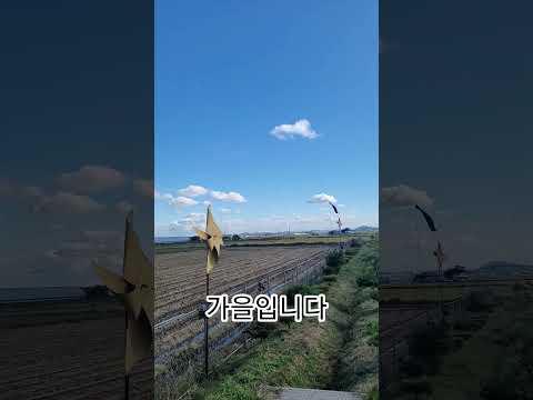 #가을#가을하늘