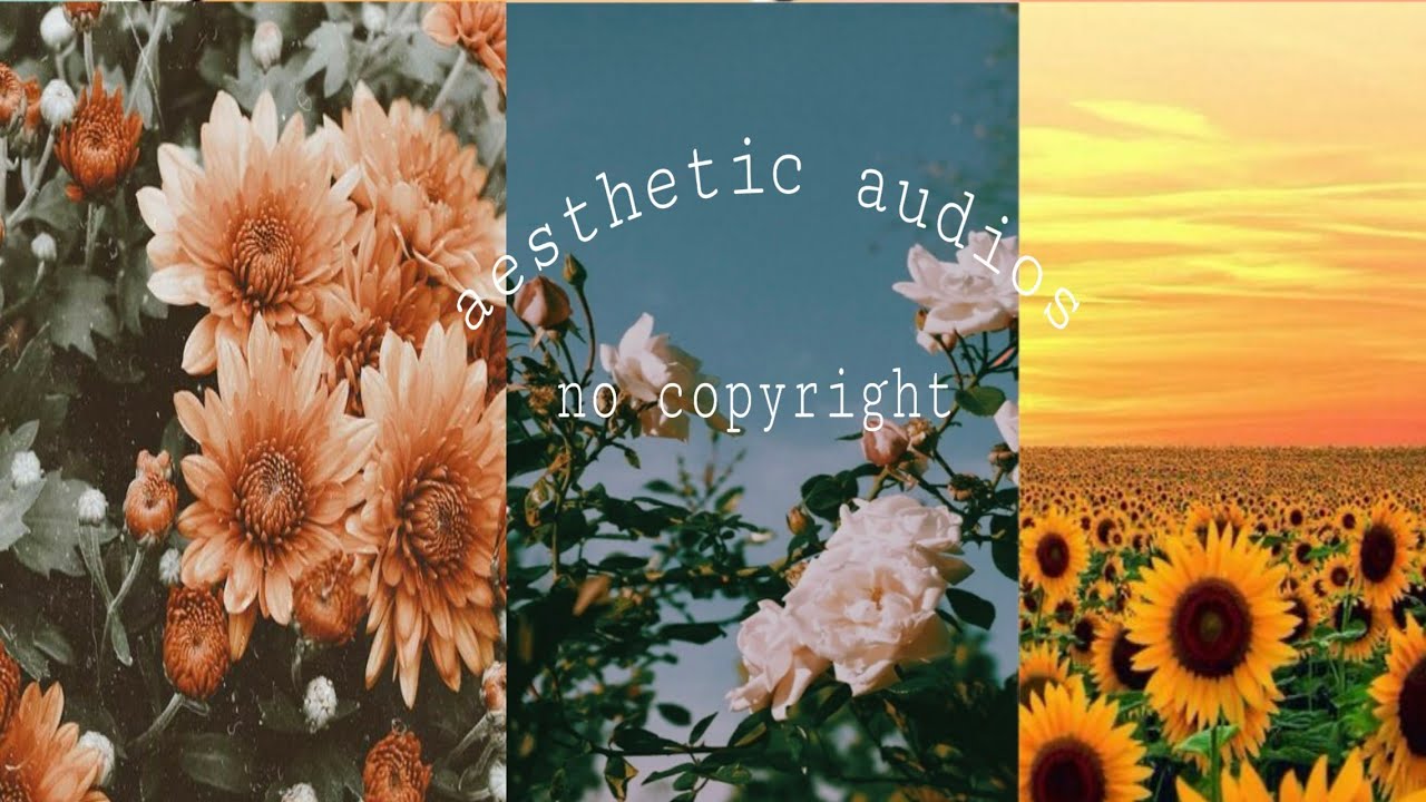 Aesthetic audios (no copyright) - YouTube