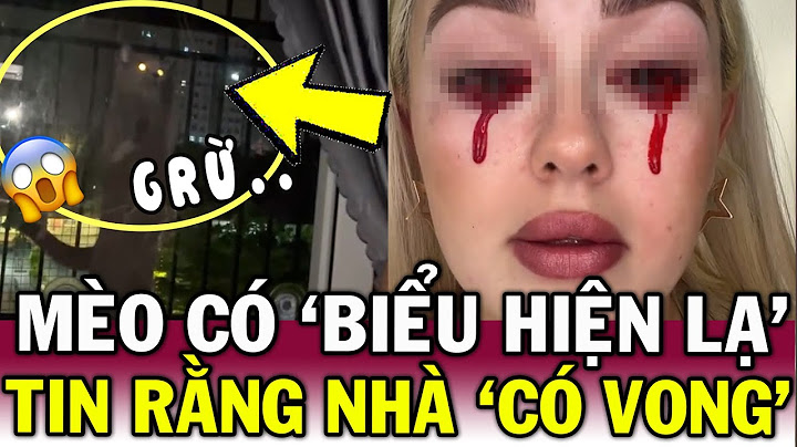 1H Đêm mèo cưng GÀO KHÓC, nhìn chằm chằm PHÒNG NGỦ khiến cô gái TÁI MẶT vì sợ | Tin Việt Độc Lạ