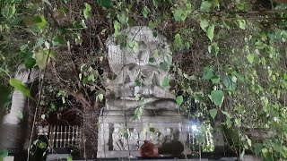 Kelaniya Temple. 