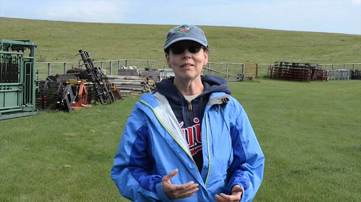 Debra's Nokota Horse Experience Testimonial