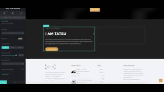 Create Stunning website using Tatsu - The Page Builder for WordPress