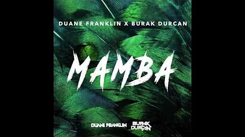 Duane Franklin x Burak Durcan   Mamba
