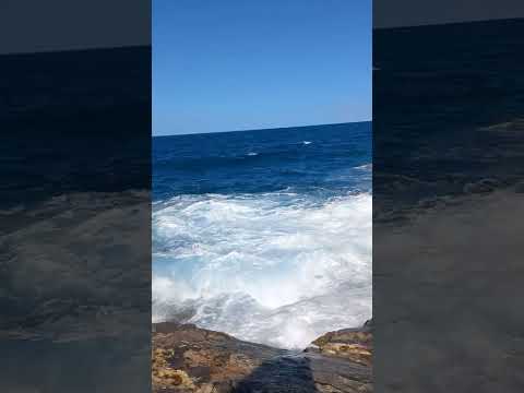 Video: Malta dənizi